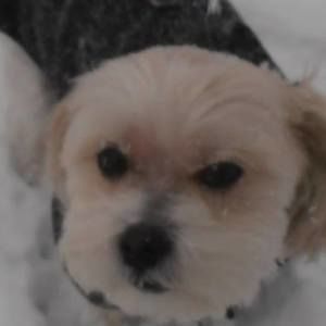 Meet your Posher, Jazmin